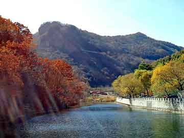 管家婆黑白马报图库，校园怪谈之宿舍有鬼